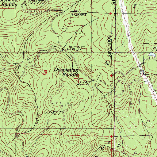 Topographic Map of Desolation Saddle, OR