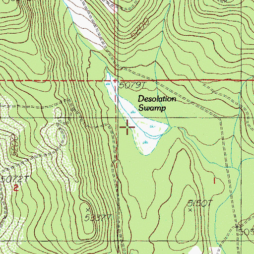 Topographic Map of Desolation Swamp, OR