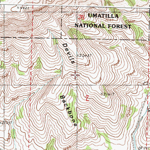 Topographic Map of Devils Backbone, OR
