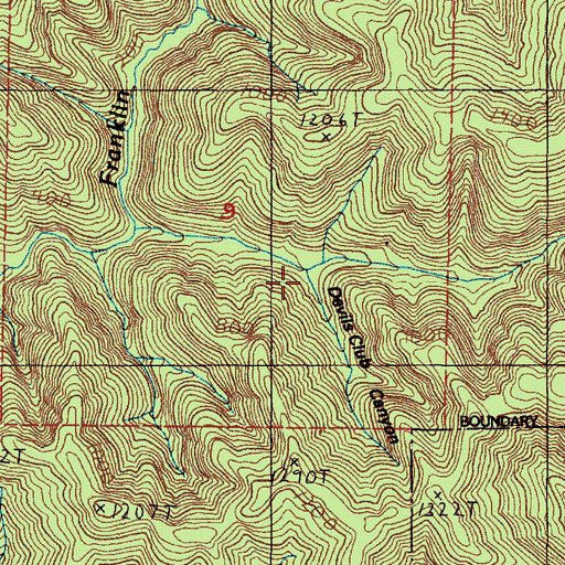 Topographic Map of Devils Club Canyon, OR