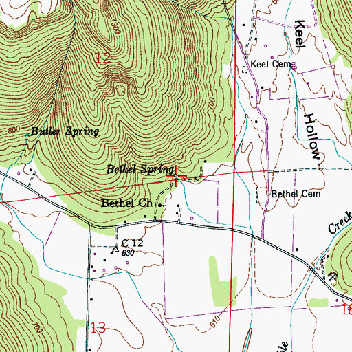 Topographic Map of Bethel Spring, AL