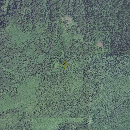Aerial/Satellite Image of Devils Rest, OR