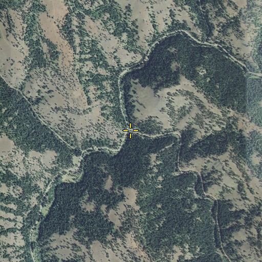 Aerial/Satellite Image of Devils Run Creek, OR