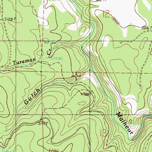 Topographic Map of Diamond Dot Gulch, OR