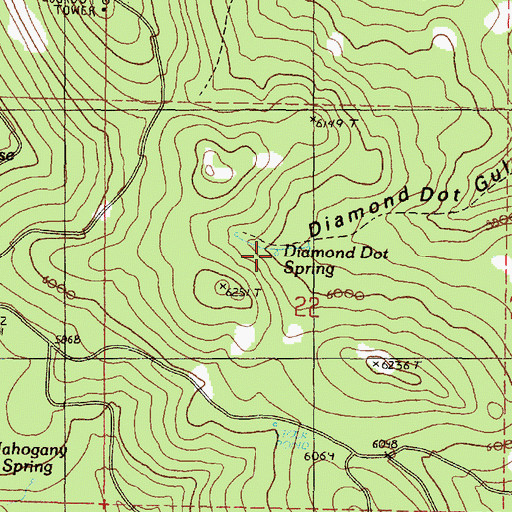 Topographic Map of Diamond Dot Spring, OR