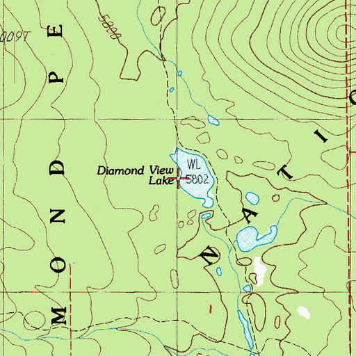 Topographic Map of Diamond View Lake, OR
