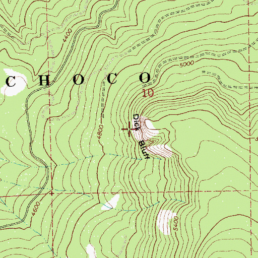 Topographic Map of Dick Bluff, OR