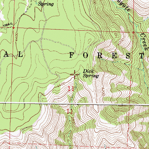 Topographic Map of Dick Spring, OR