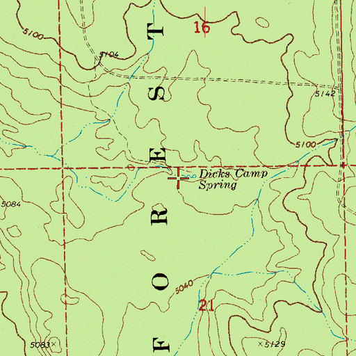 Topographic Map of Dicks Camp Spring, OR