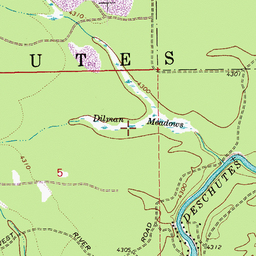 Topographic Map of Dilman Meadows, OR