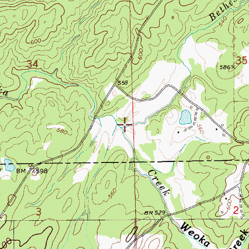 Topographic Map of Bethesda Creek, AL