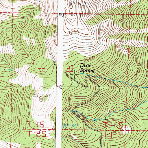 Topographic Map of Dixie Spring, OR