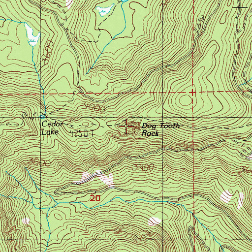 Topographic Map of Dog Tooth Rock, OR