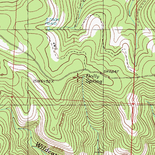 Topographic Map of Dolly Spring, OR