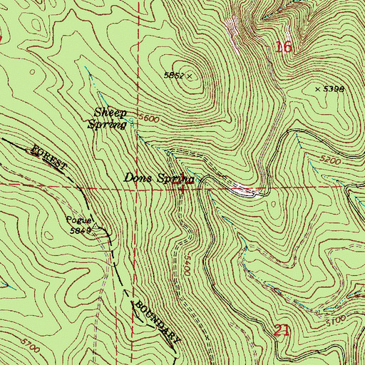 Topographic Map of Dons Spring, OR