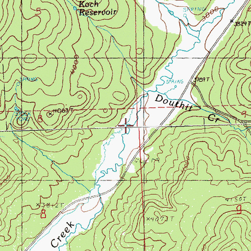 Topographic Map of Douthit Creek, OR