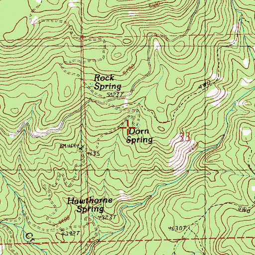 Topographic Map of Dorn Spring, OR