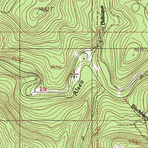 Topographic Map of Dubuque Creek, OR