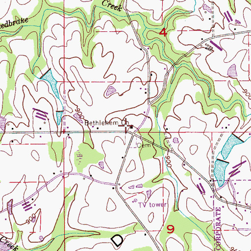 Topographic Map of Bethlehem Church, AL