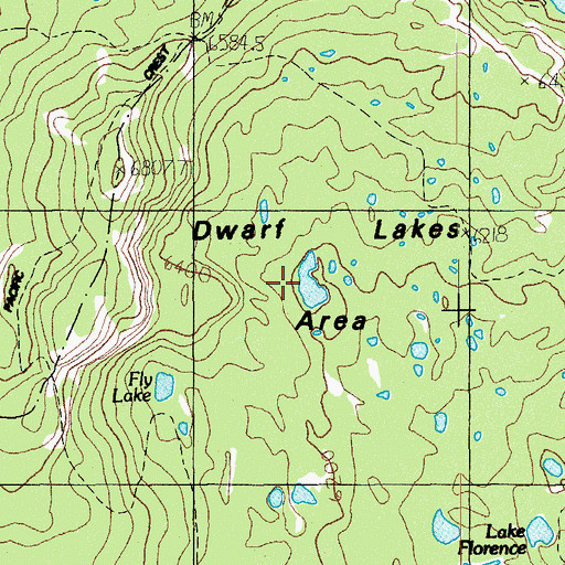 Topographic Map of Dwarf Lakes Area, OR
