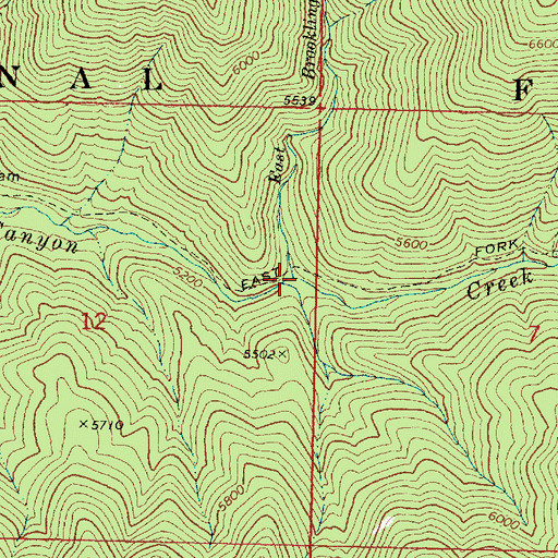 Topographic Map of East Brookling Creek, OR
