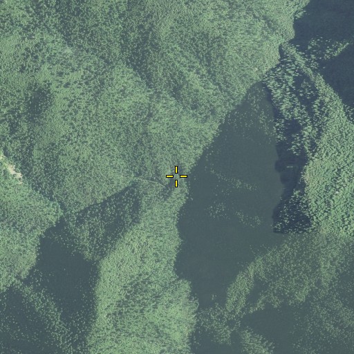 Aerial/Satellite Image of East Fork Big Windy Creek, OR
