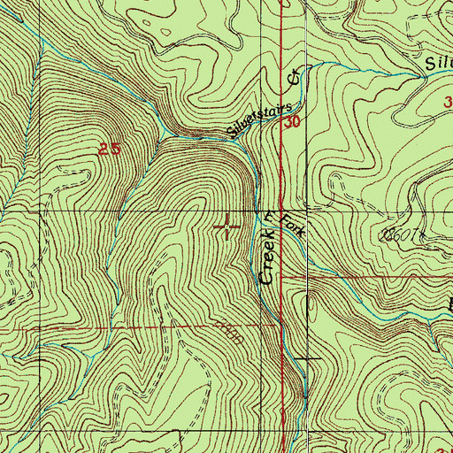 Topographic Map of East Fork Layng Creek, OR