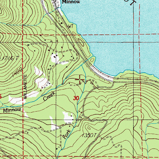 Topographic Map of East Fork Minnow Creek, OR