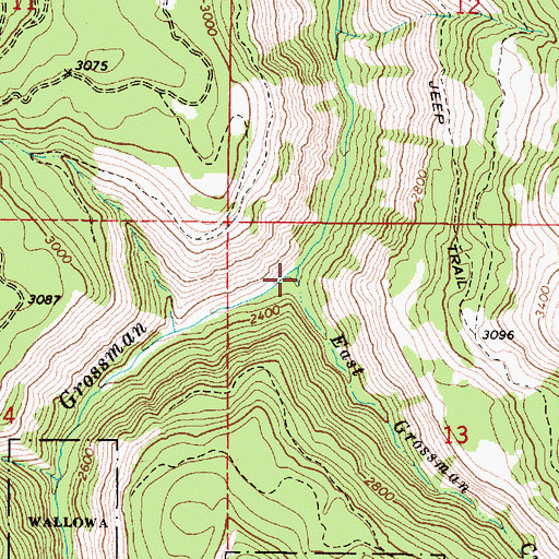 Topographic Map of East Grossman Creek, OR