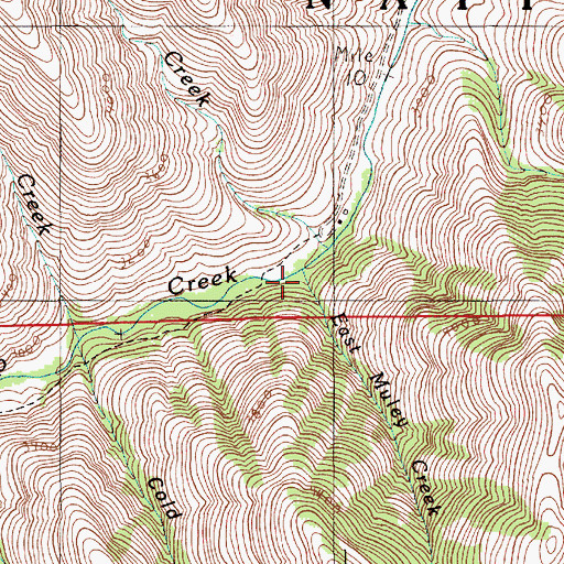 Topographic Map of East Muley Creek, OR