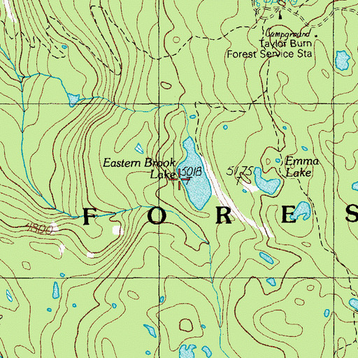 Topographic Map of Eastern Brook Lake, OR