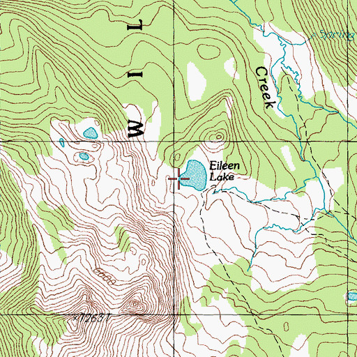 Topographic Map of Eileen Lake, OR