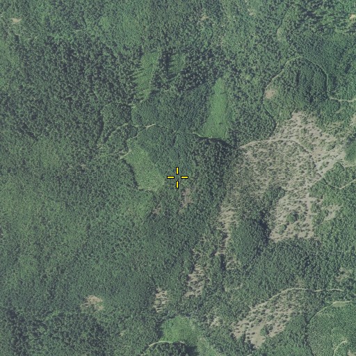 Aerial/Satellite Image of Elder Mountain, OR