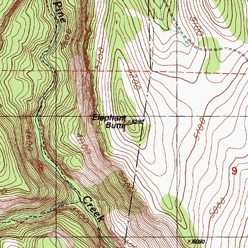 Topographic Map of Elephant Butte, OR