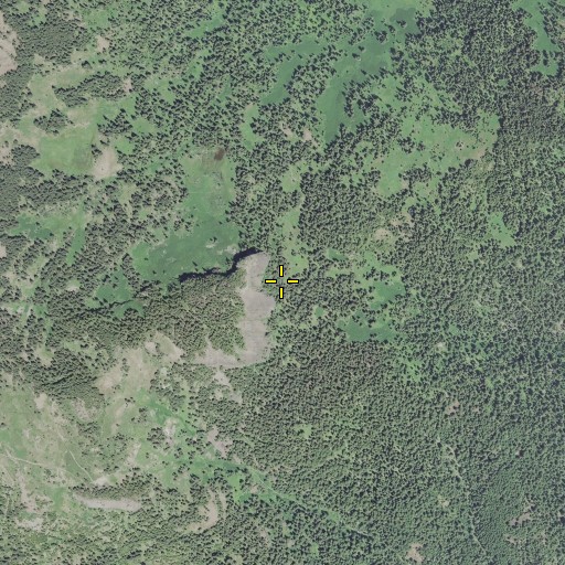 Aerial/Satellite Image of Elephant Head, OR