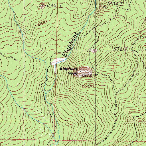 Topographic Map of Elephant Rock, OR