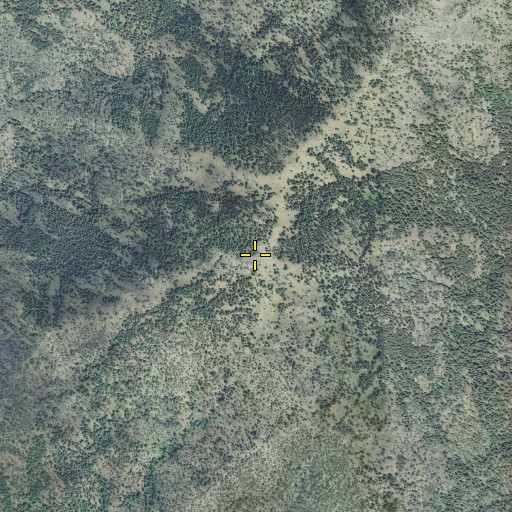 Aerial/Satellite Image of Elk Mountain, OR