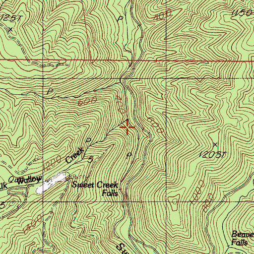 Topographic Map of Elk Wallow Creek, OR