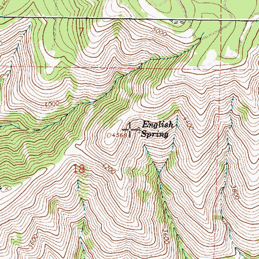 Topographic Map of English Spring, OR