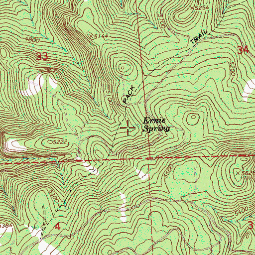 Topographic Map of Ernie Spring, OR