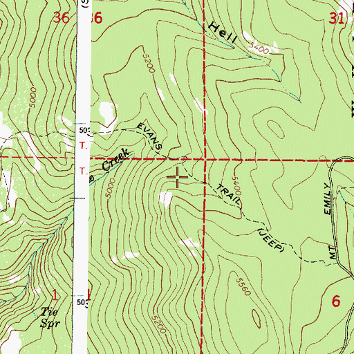 Topographic Map of Evans Trail, OR