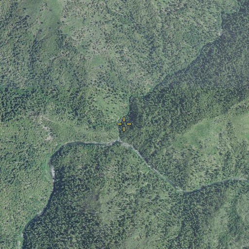 Aerial/Satellite Image of Fall Creek, OR