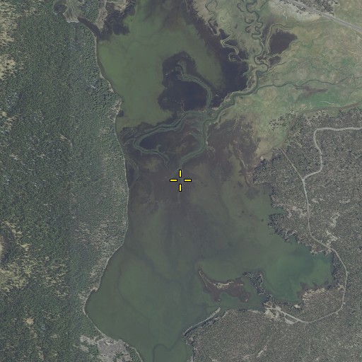 Aerial/Satellite Image of Fall Creek, OR