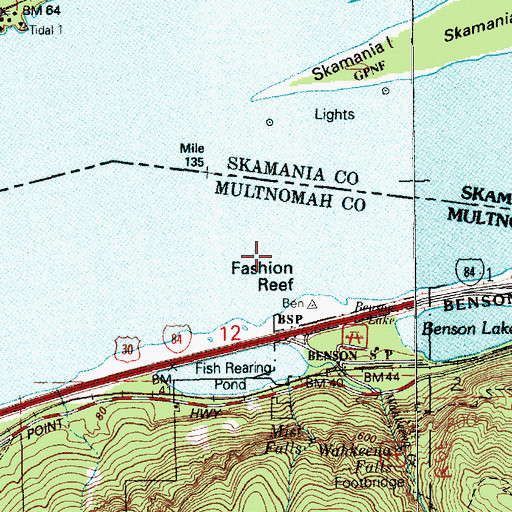 Topographic Map of Fashion Reef, OR