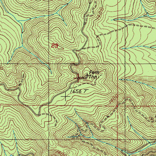 Topographic Map of Fern Top, OR