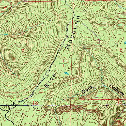 Topographic Map of Bice Mountain, AL