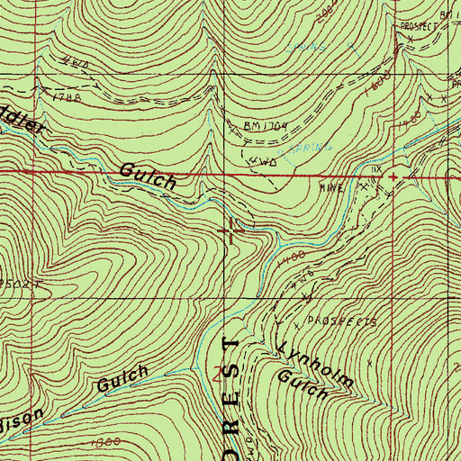 Topographic Map of Fiddler Gulch, OR