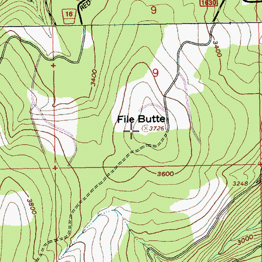 Topographic Map of File Butte, OR