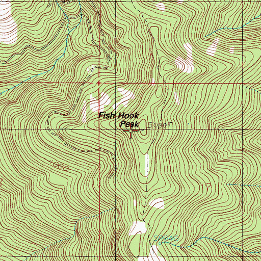 Topographic Map of Fish Hook Peak, OR