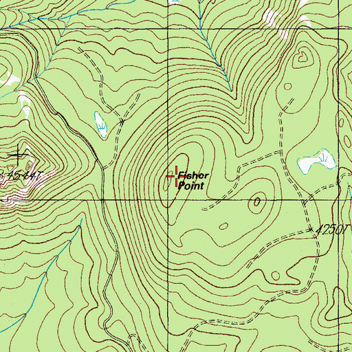 Topographic Map of Fisher Point, OR